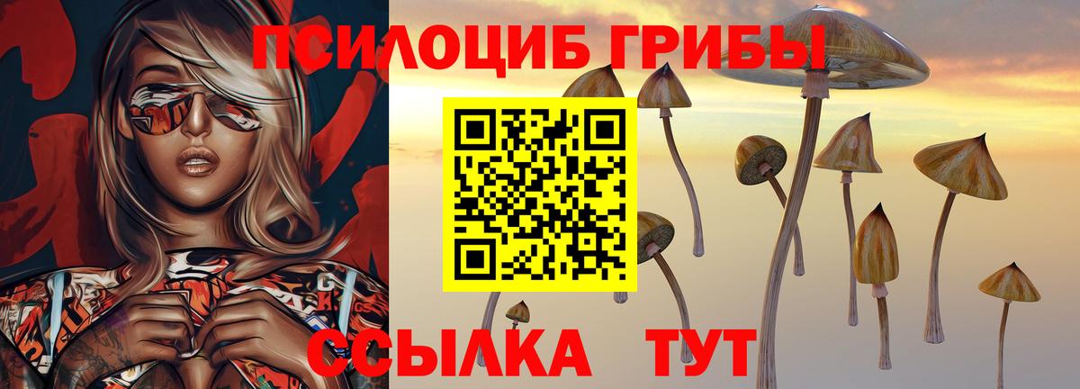 Псилоцибиновые грибы прущие грибы Чехов